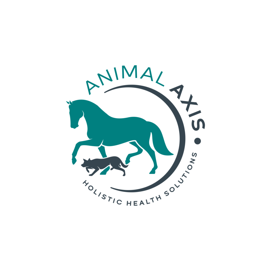 Cartoon-petcatdog-mascot-logo-6