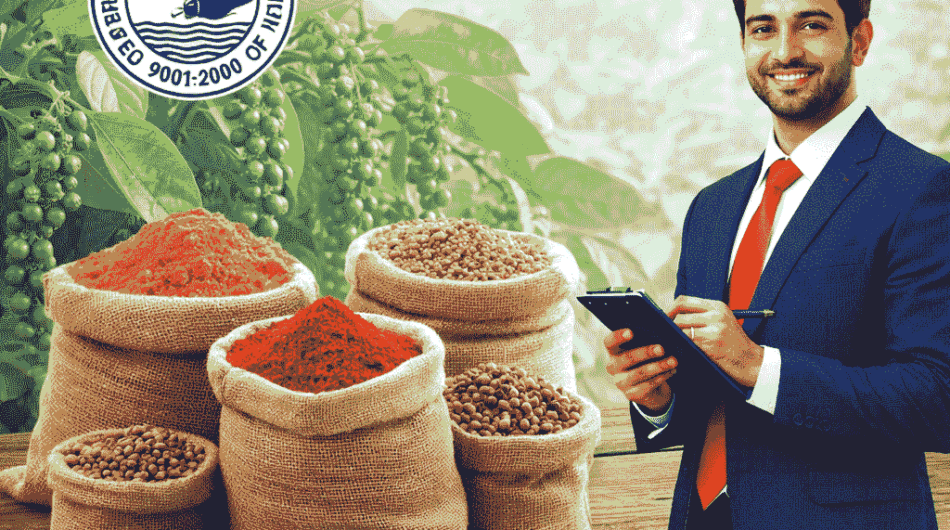 ChatGPT-Image-Feb-24-2026-06_2