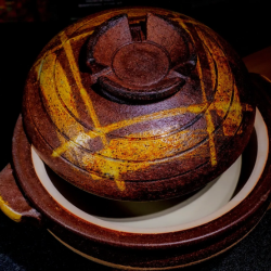 Coast-Dog-Images-photography-1