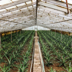 Divine-Essentials-Boutique