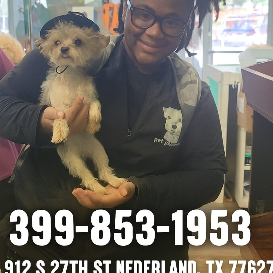 Dog-Grooming-at-My-Home-in-Nederland-TX