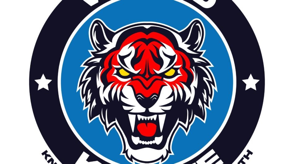 I will design great gym,sports and martial arts logo for you