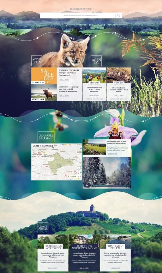 I-build-many-kinds-of-Responsive-Word-Press-website-design-with-positive-feedback-21