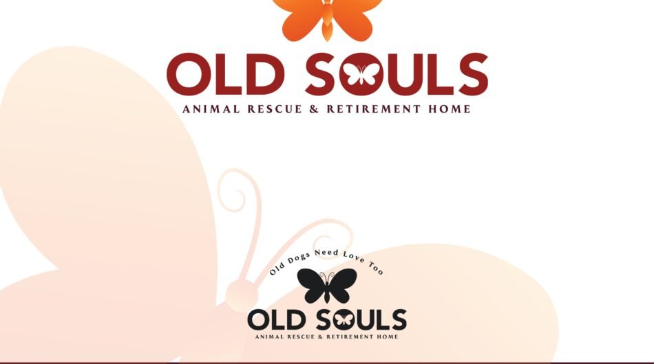 I-will-design-modern-community-and-nonprofit-or-government-logo-15