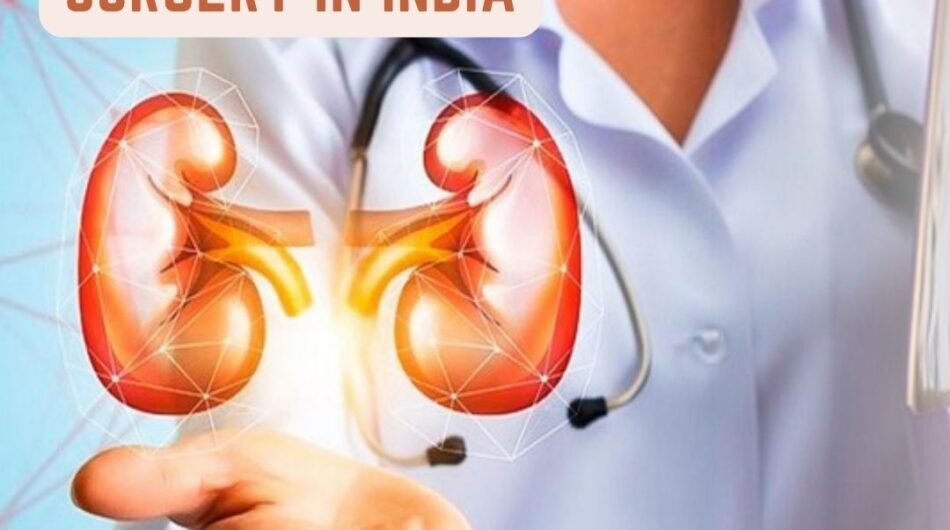 Kidney-Transplant-Surgery-In-India