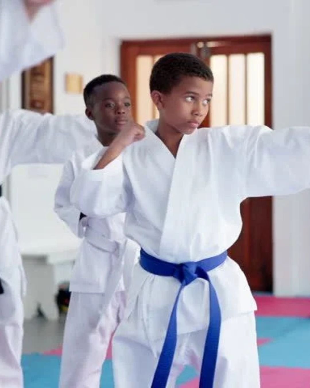 Minnesota Martial Arts Schools