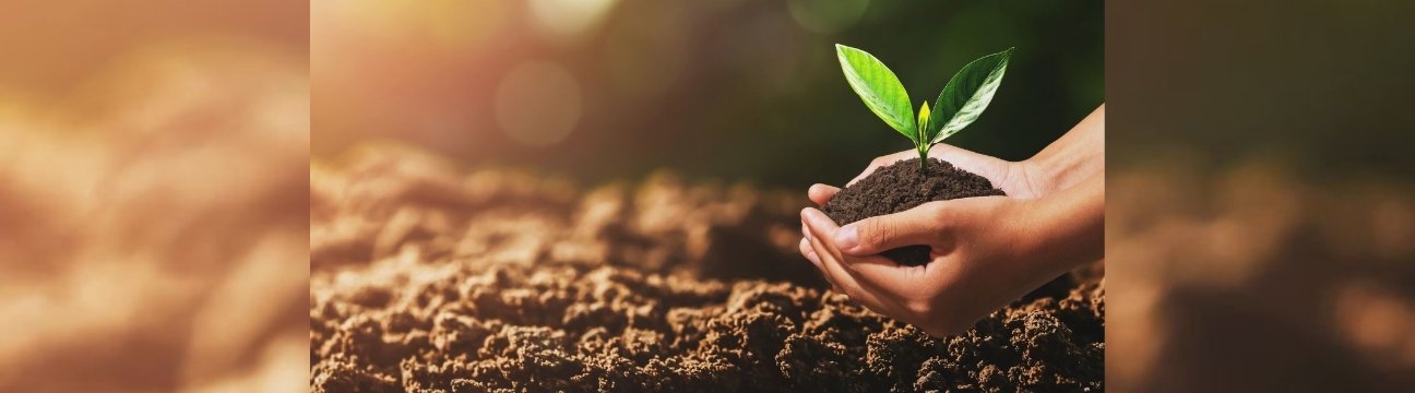 NAQ Global Green Technology