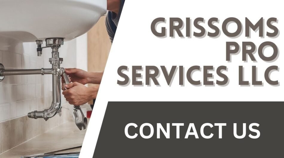 Plumbing-Services-Martin