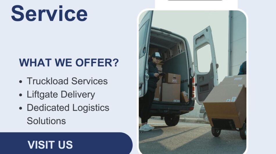 Professional-Delivery-Team-Georgia