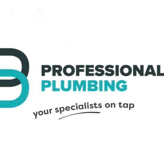 Professional Plumbing