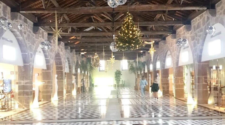 Relocation-Services-in-Northern-Portugal