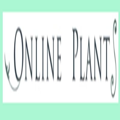 Screening & Hedging Plants – Online Plants