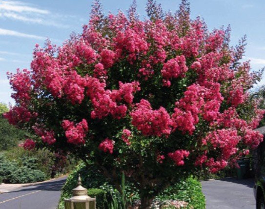 Screenshot-2026-02-20-103556