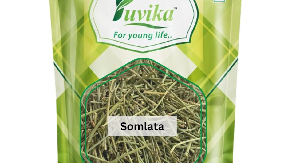 Somlata-Herb-1