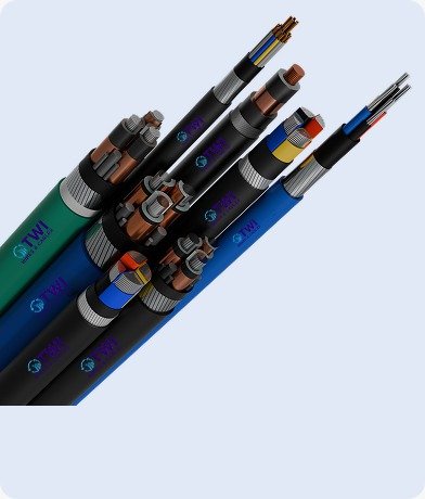 WhatsApp-Image-2026-02-17-at-6.30.27-PM