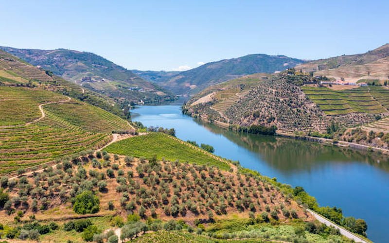 Wine-Trails-in-the-Summer-Season-1