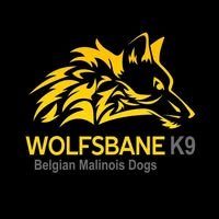 Wolfsbane-K9