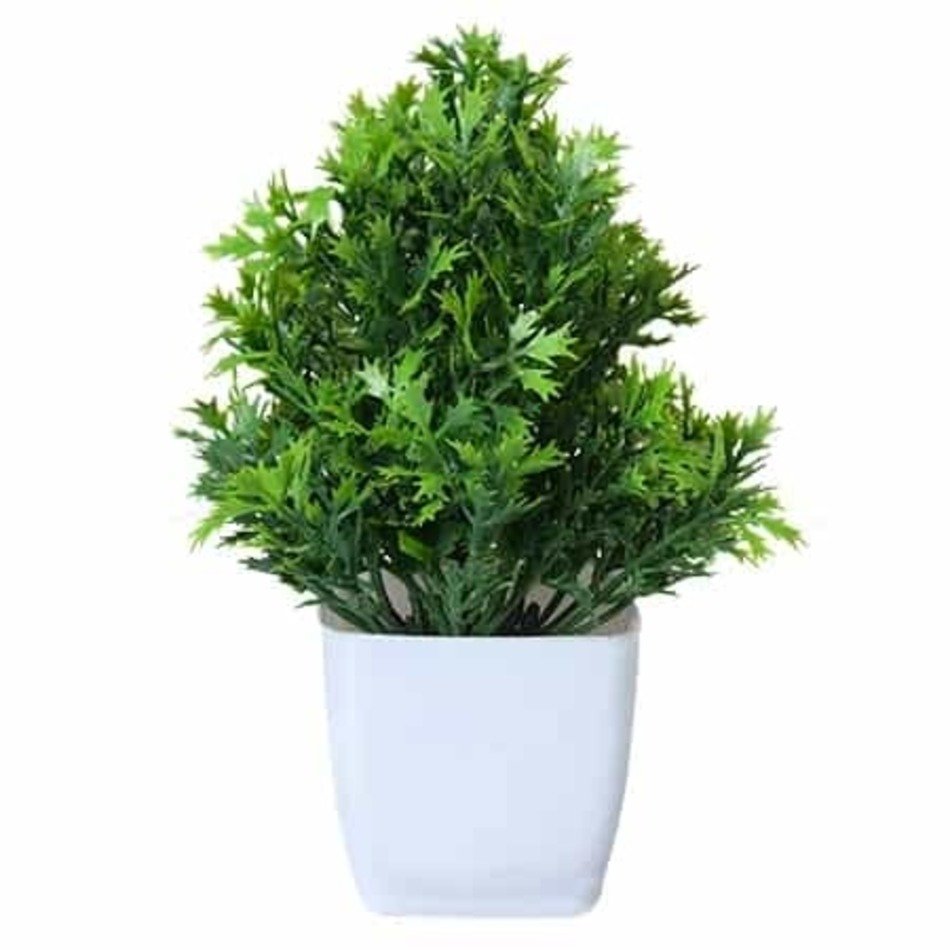 Expert Product Photography Services Delhi