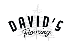 david-logo-20260119151302