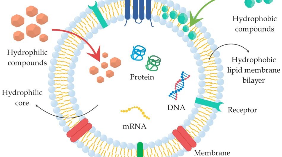 exosomes-api