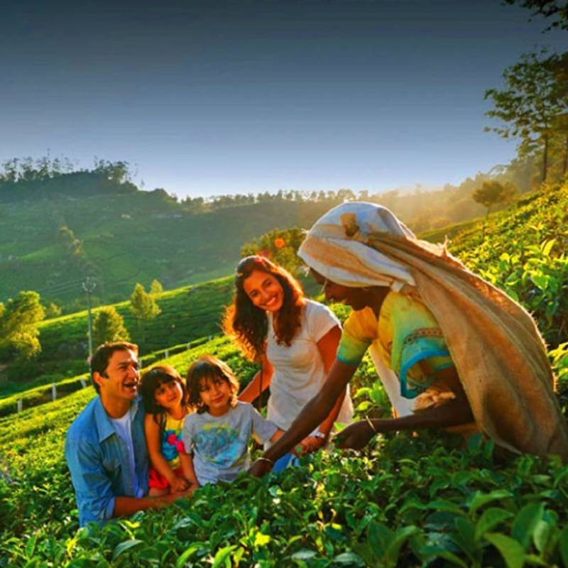 Kerala Tour Package for Family for 3 Nights 4 Days