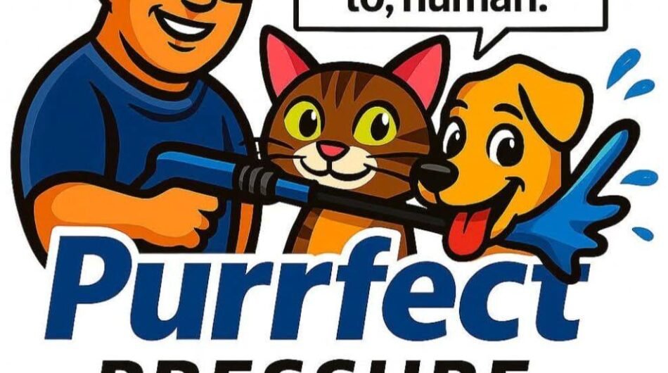 purrfect-pressure-washing-llc-20260128155831