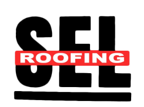 south-east-london-logo-20260117110227