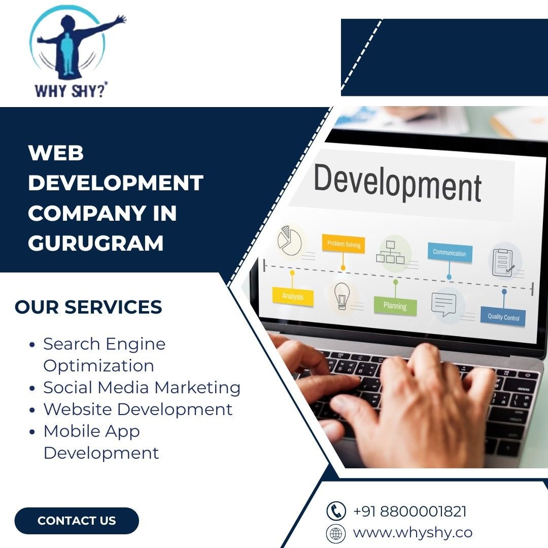Leading Web Development Company in Gurugram | Why Shy