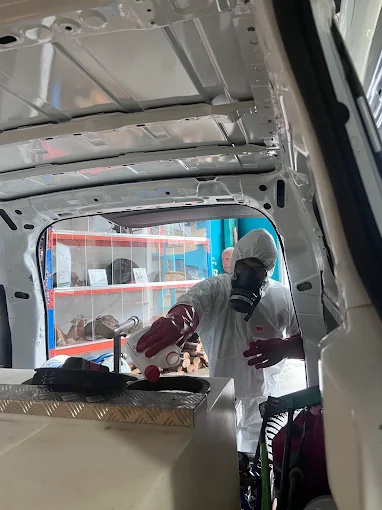 Wipeout pest services