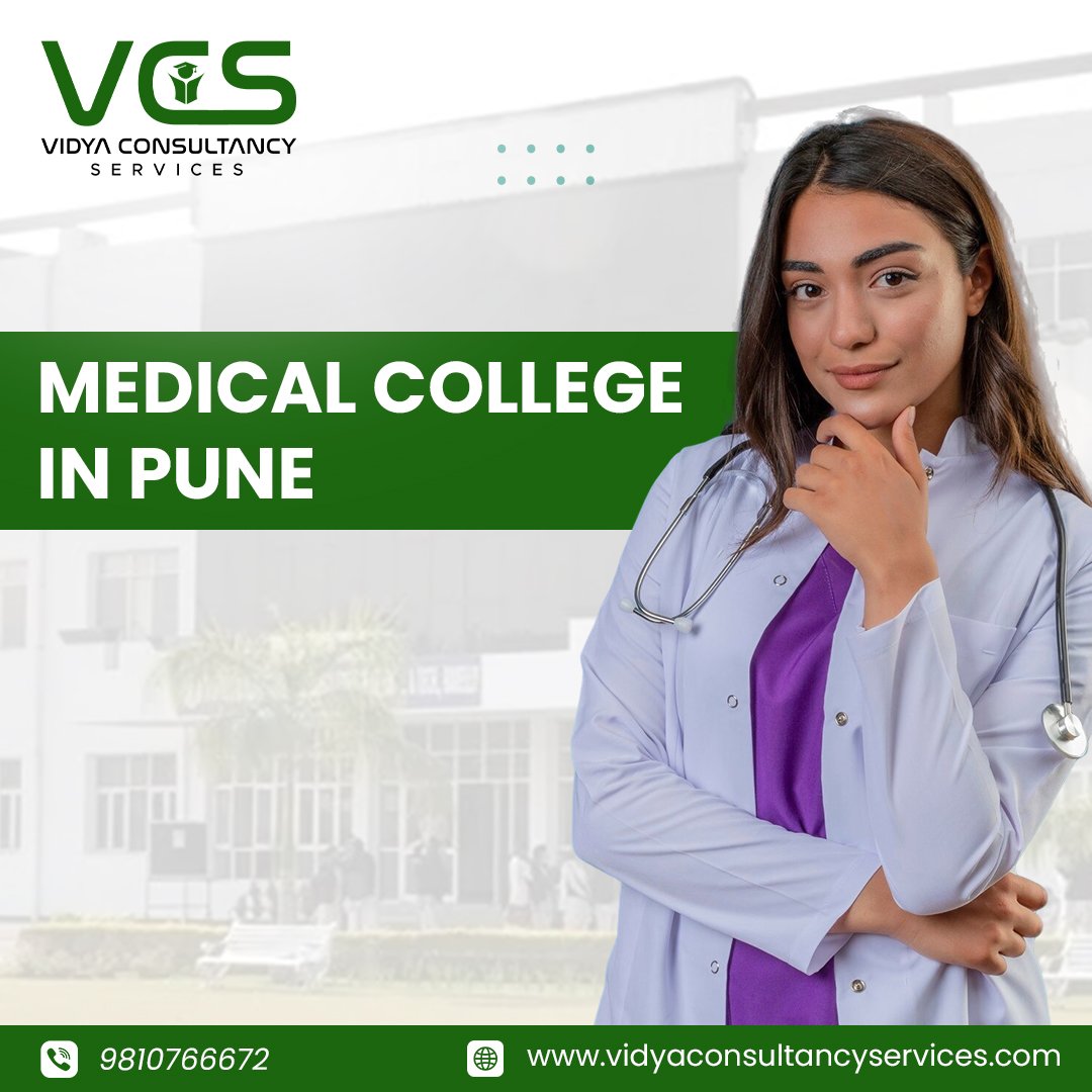 Vidya Consultancy Services