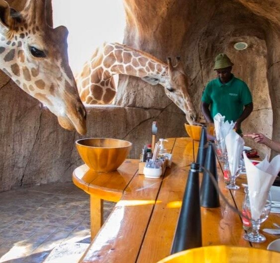 1771341669850-6554034