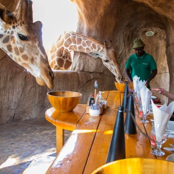 Dubai Tours Contact Page | Walks of Dubai