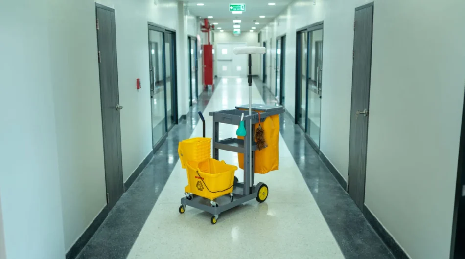 How Climate and Daily Use Shape the Performance of Hard Surface Floors in Clinto