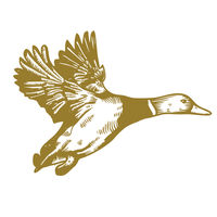 292687951_164090379517150_1134555362063599779_n