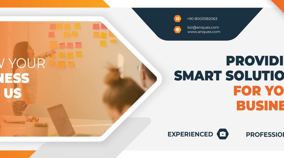 Best Software Development Company in India | Anques Technolabs