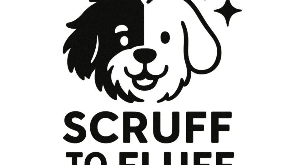 509602868_122093260922926971_5478001131352788165_n