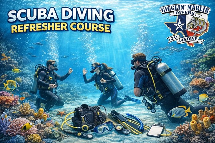 78dd95c0-0224-4c19-88ba-9e8d8e16fb6b