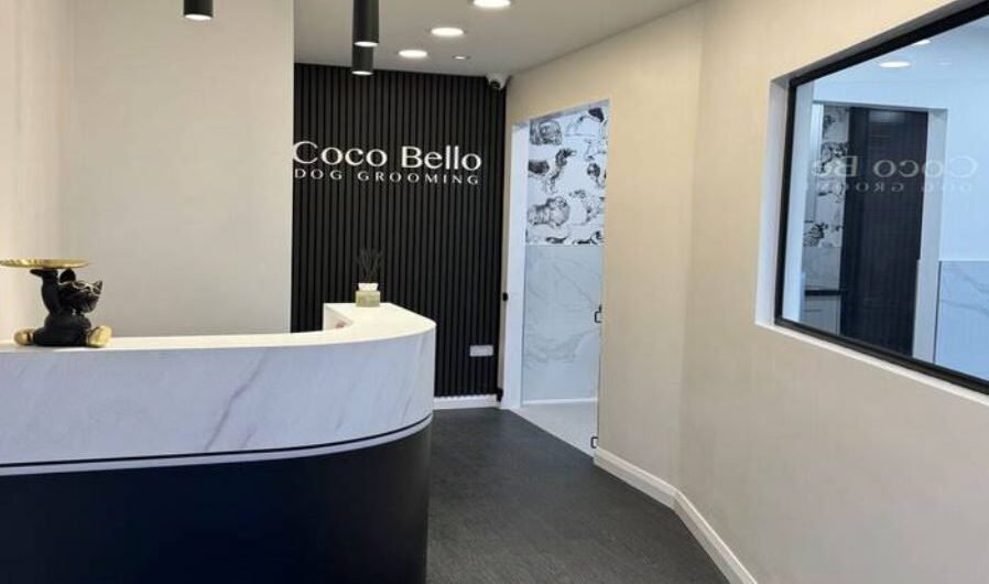 Coco-Bello-Dog-Grooming