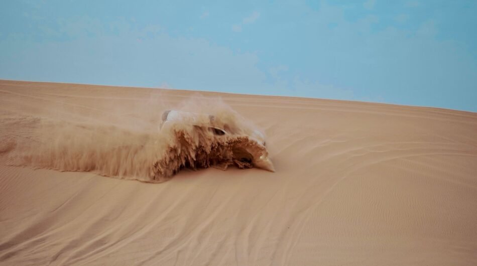 Licensed and registered tour operator in Abu Dhabi