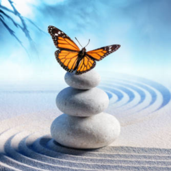 Hopedynamics-Counseling-1