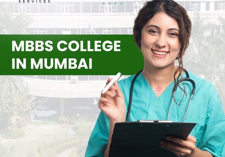 Vidya Consultancy Services