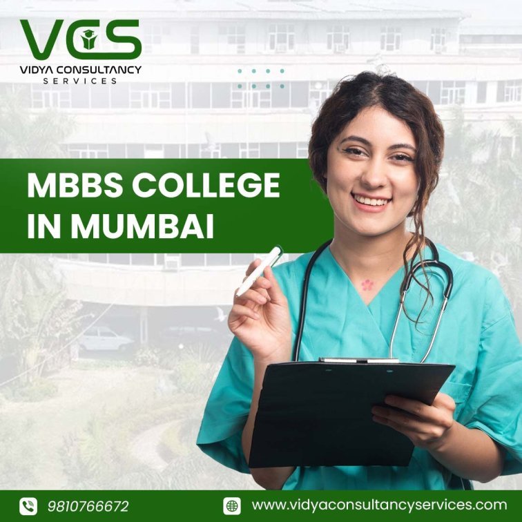 Vidya Consultancy Services