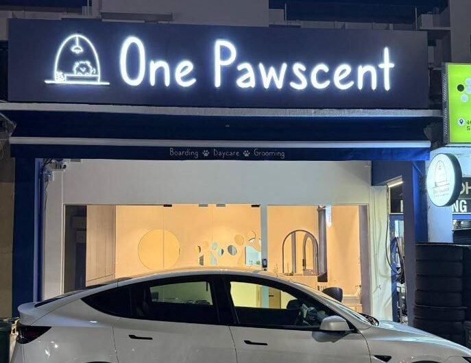 One-Pawscent