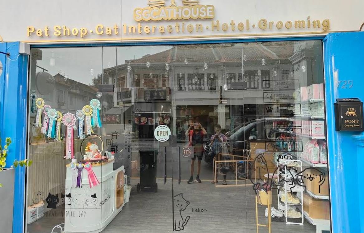 SGCatHouse Cat Cafe | Pet Shop | Pedigree Kittens for Sale