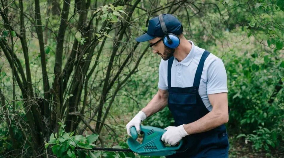 Untitled-design-2026-03-23T094914.706-1