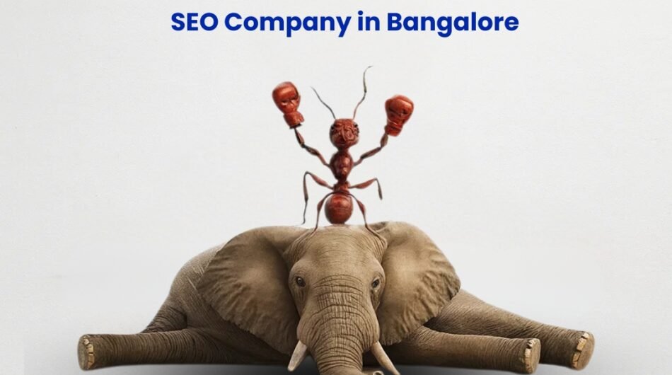 We-Turn-Small-Efforts-Into-Big-Rankings