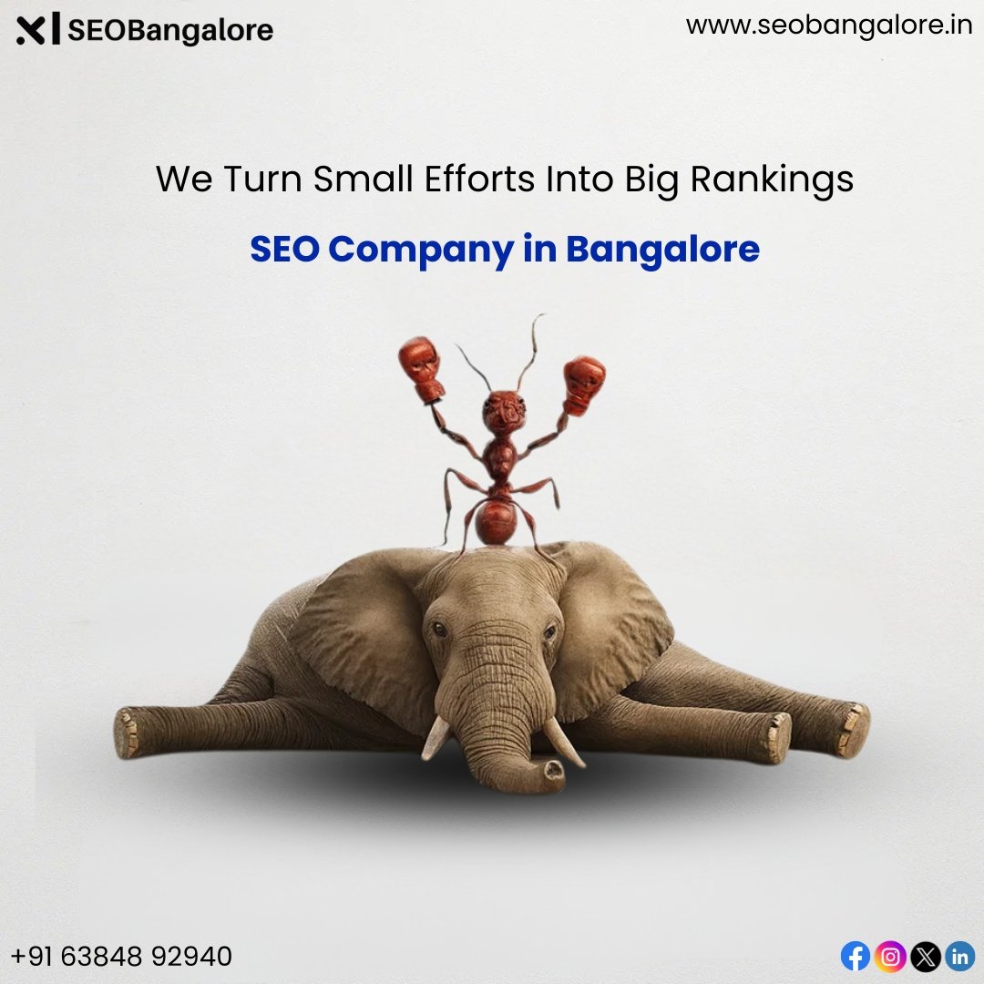 Top-Rated SEO Company in Bangalore for Google Rankings | Seobangalore.in