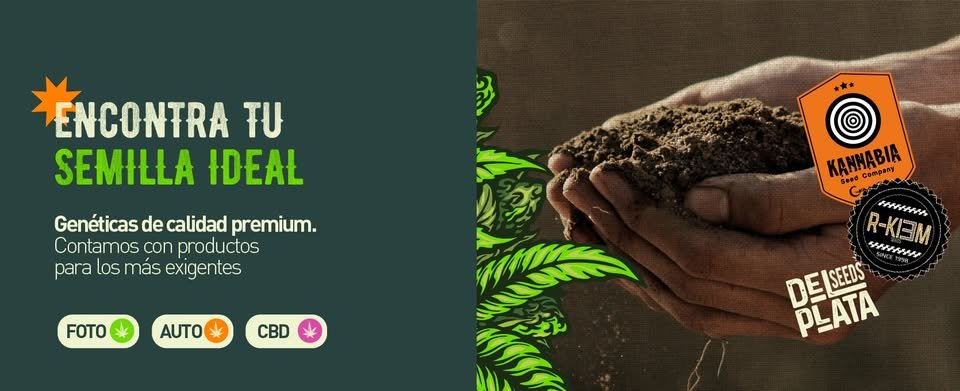 Semillas de marihuana