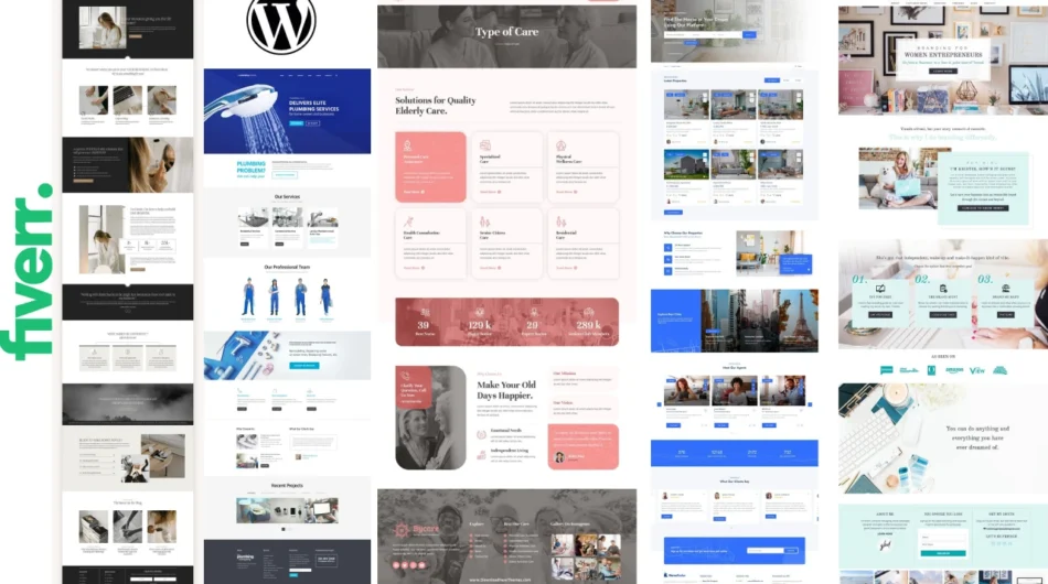 build-wordpress-website-development-business-website-or-wordpress-blog-2