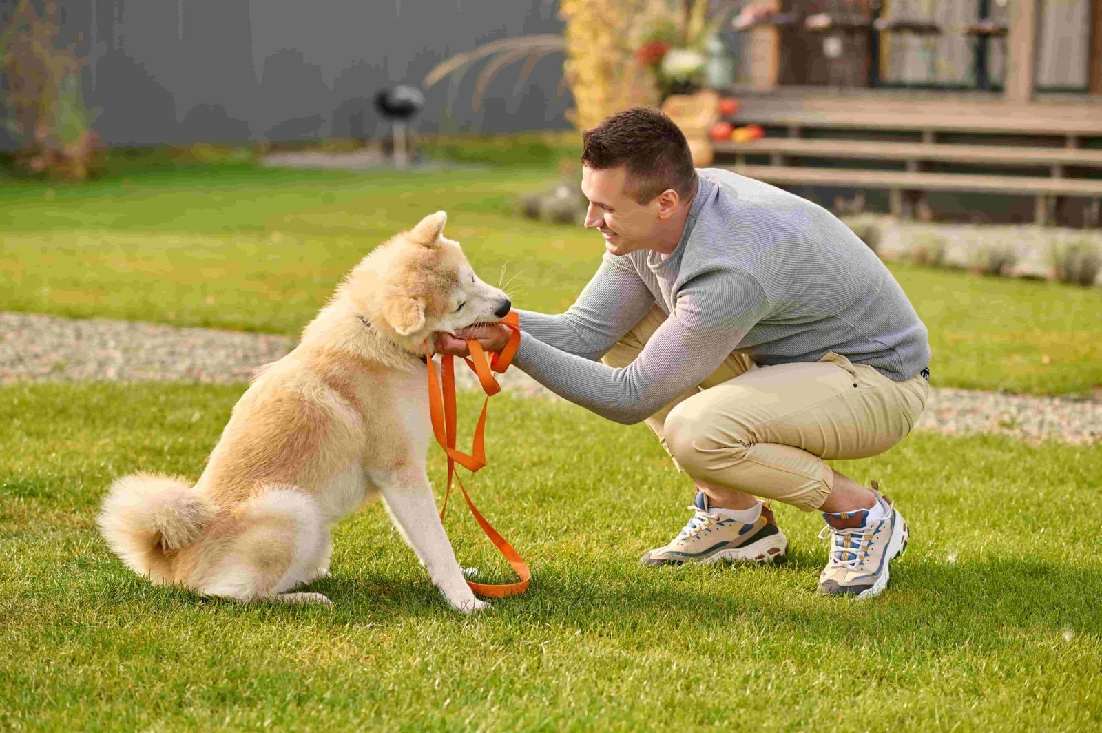 Advanced Dog Obedience Training | Off-Leash Control & Focus